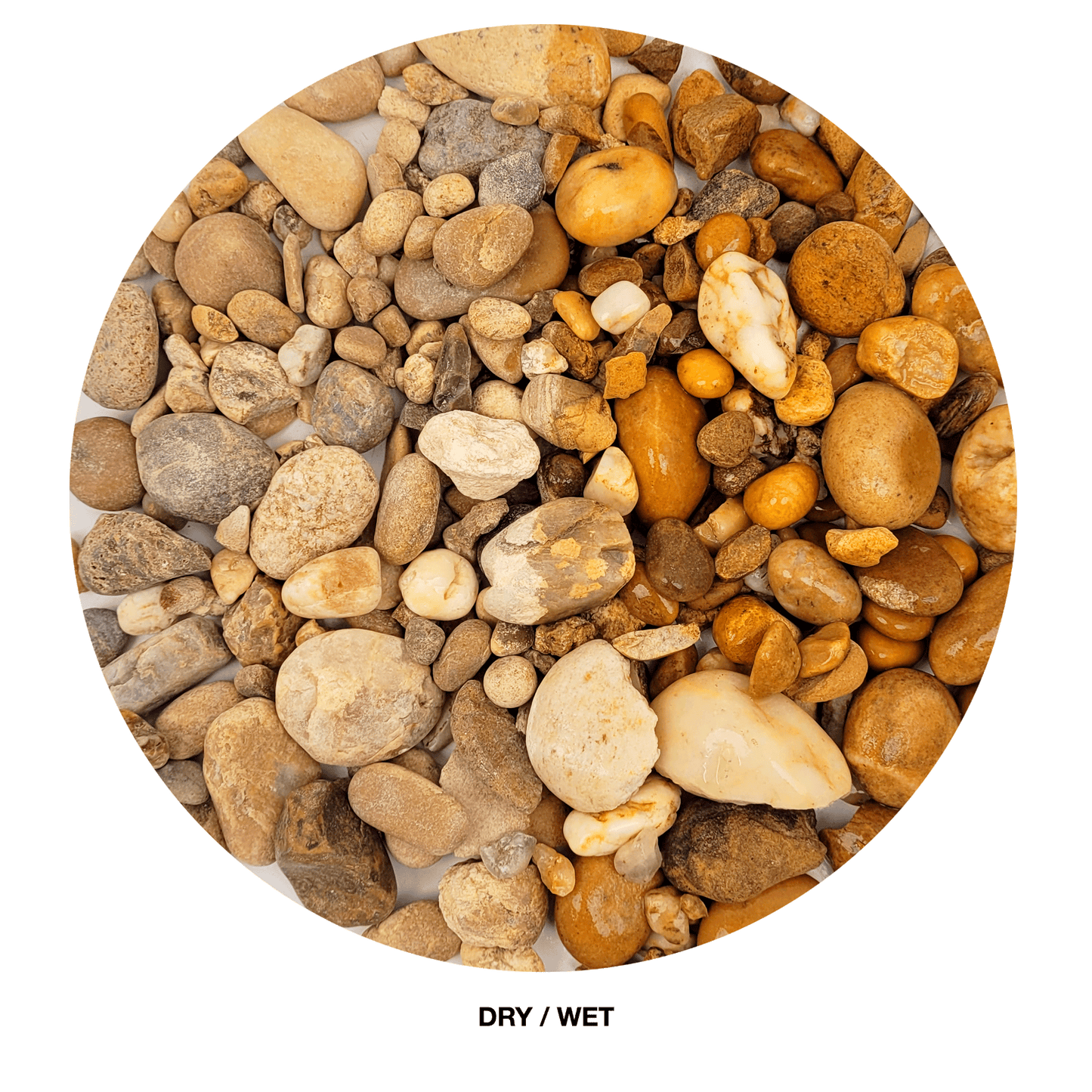 WIO | Gravel - Bumblebee