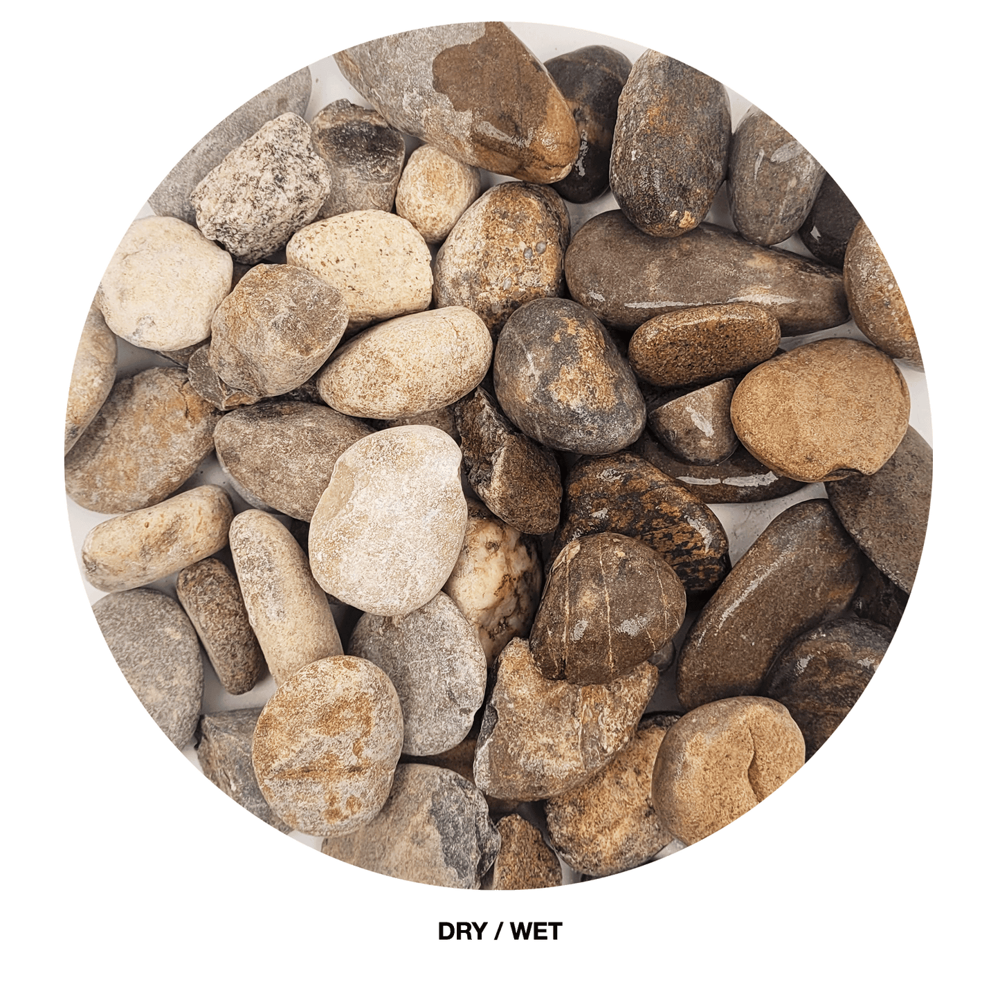 WIO | Gravel - Elderly