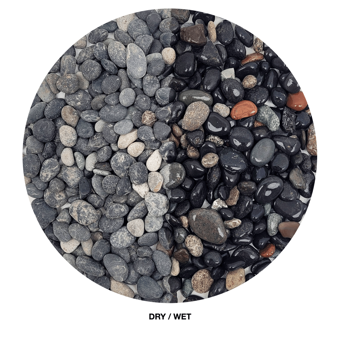 WIO | Gravel - Sable (Limited)