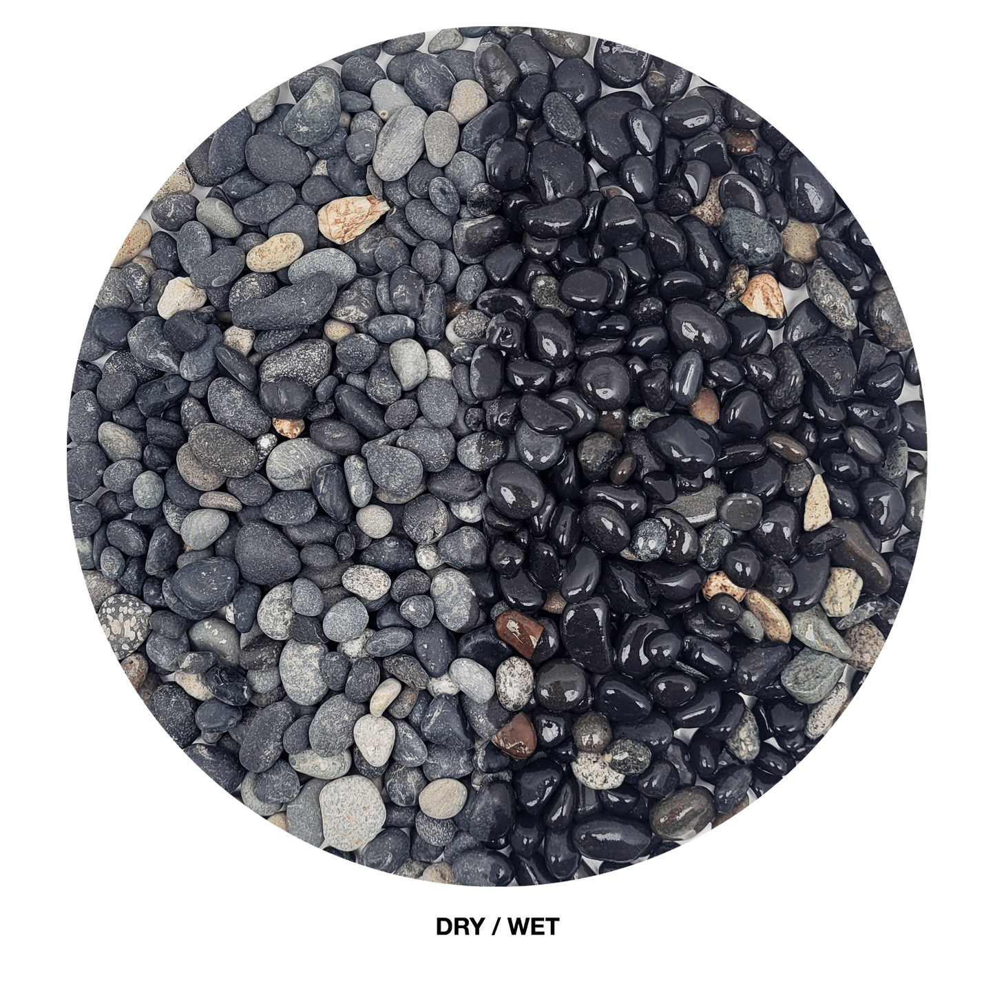 WIO | Gravel - Sable (Limited)