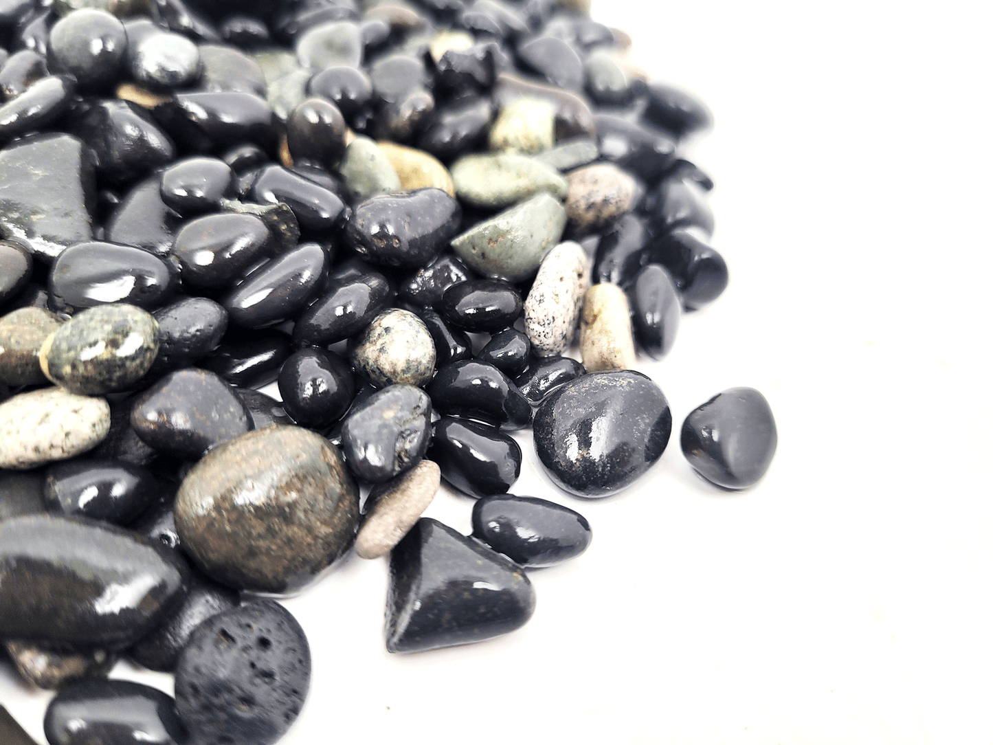 WIO | Gravel - Sable (Limited)