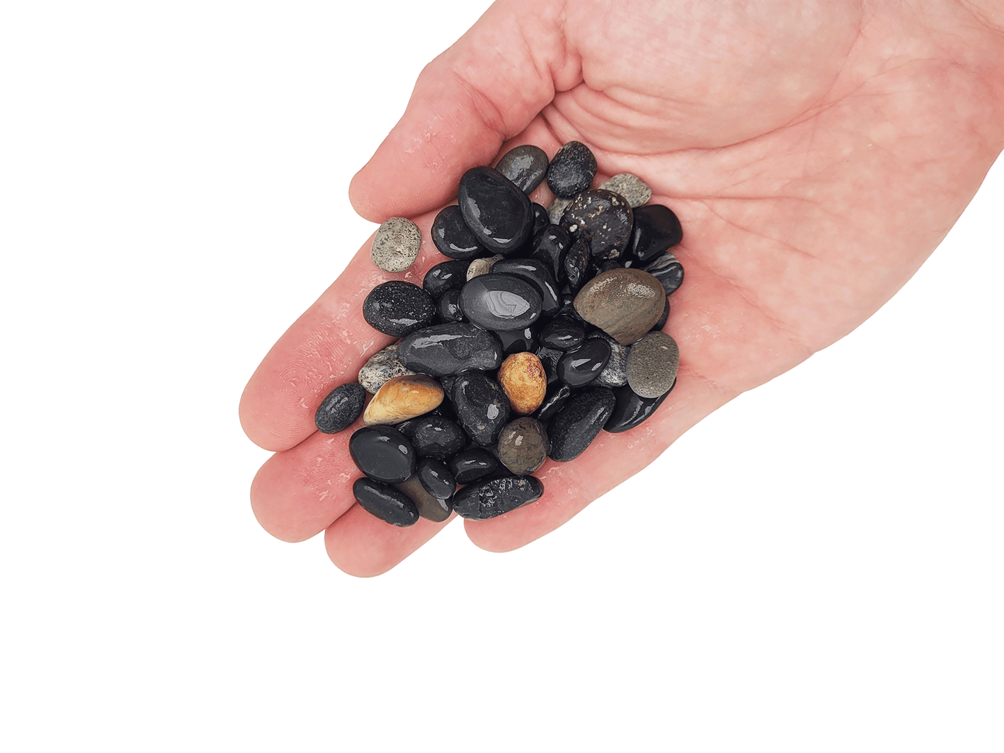 WIO | Gravel - Sable (Limited)