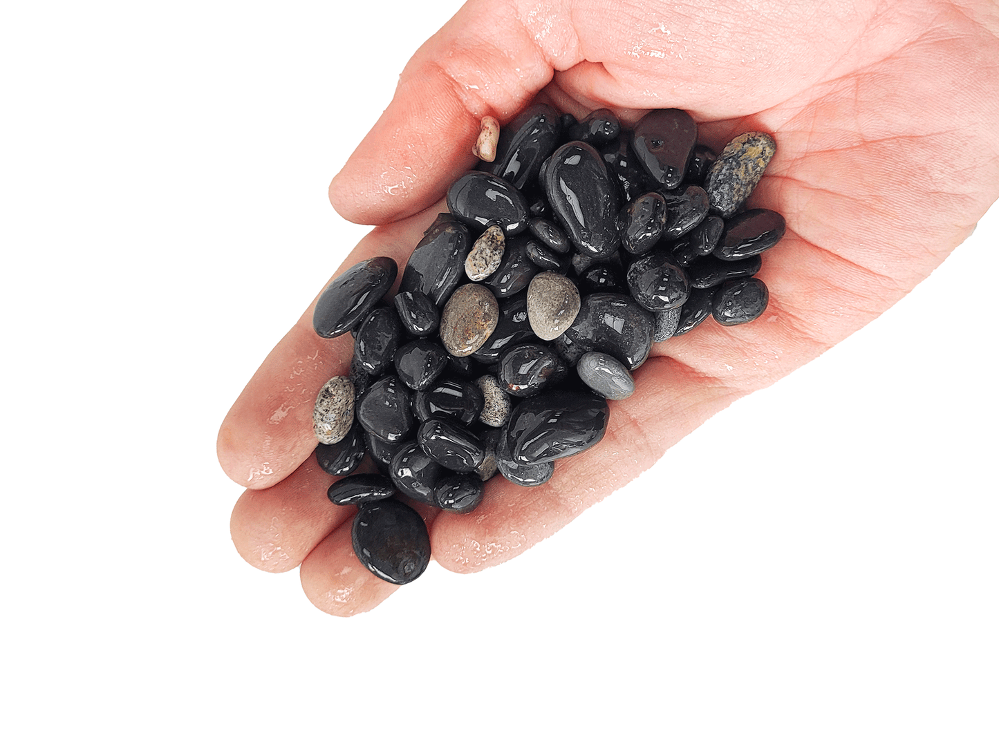 WIO | Gravel - Sable (Limited)