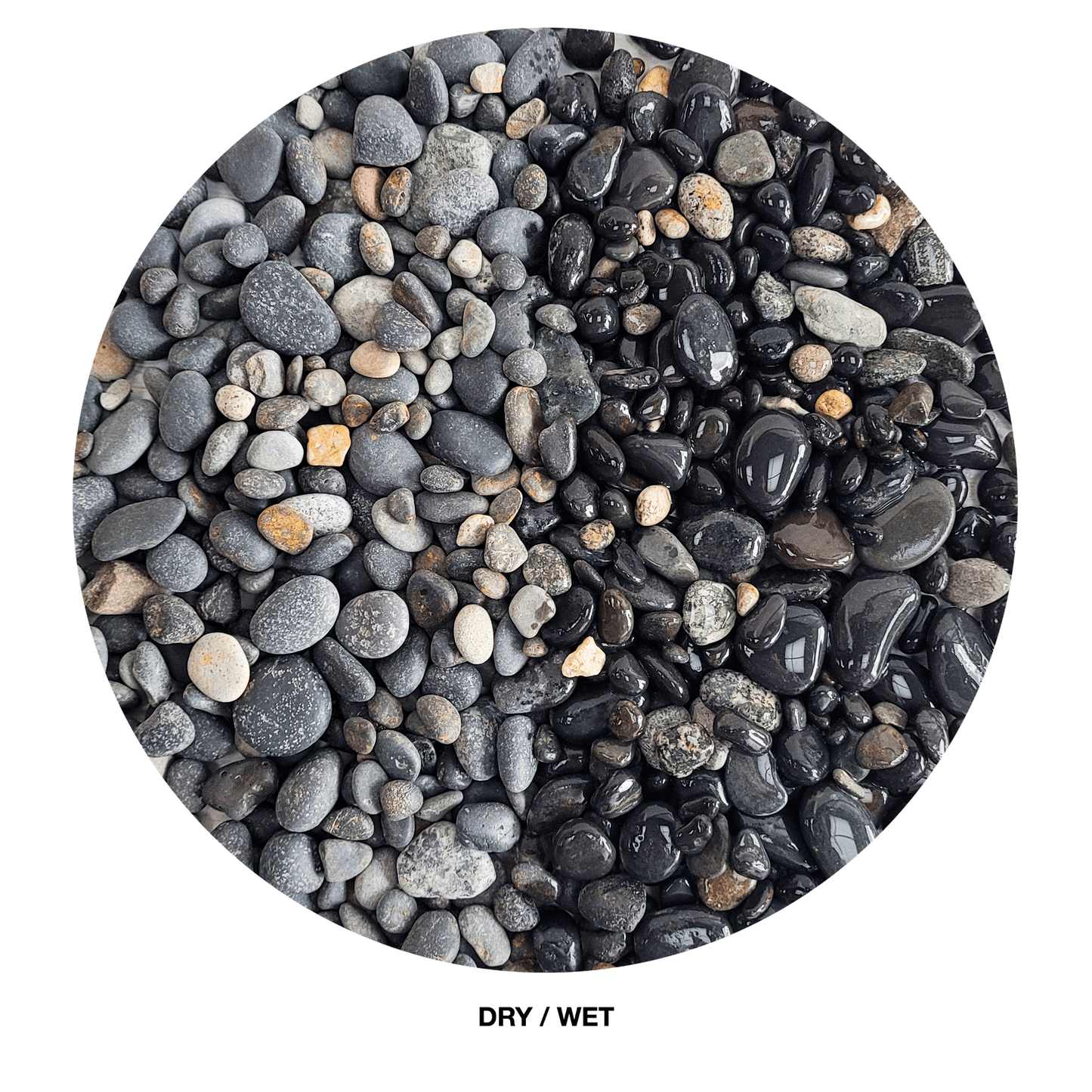 WIO | Gravel - Sable (Limited)