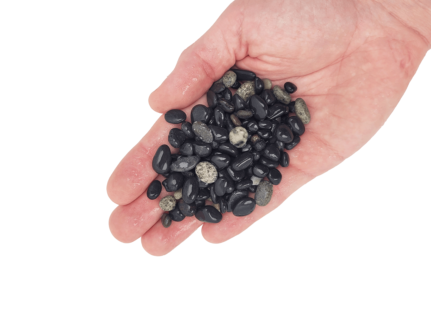 WIO | Gravel - Sable (Limited)