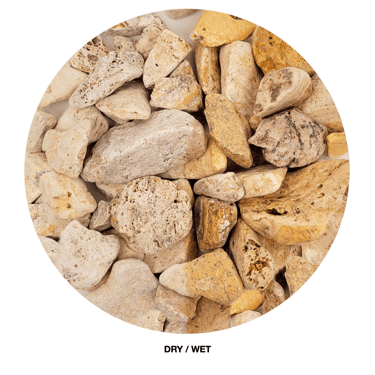 WIO | Gravel - White Adder