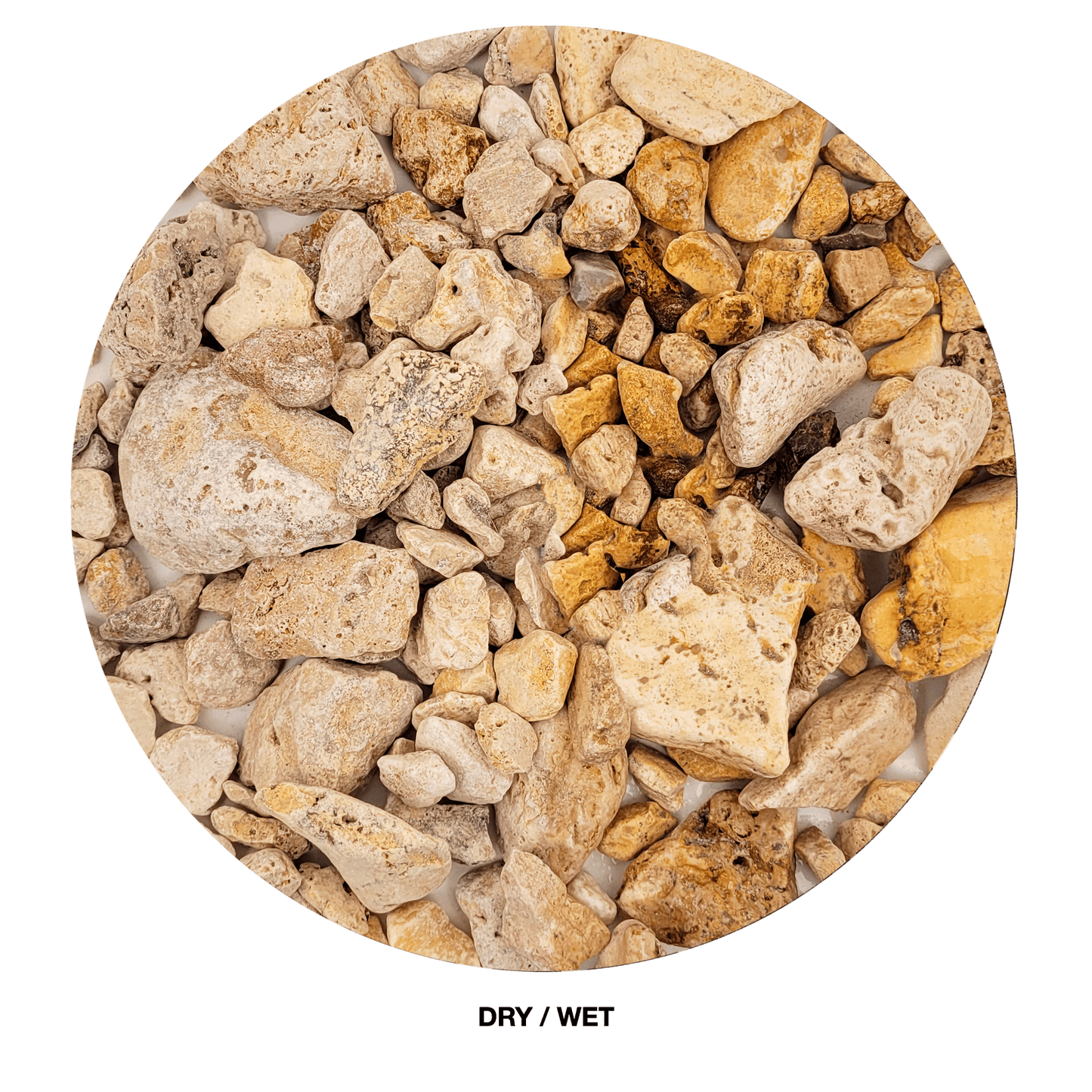 WIO | Gravel - White Adder