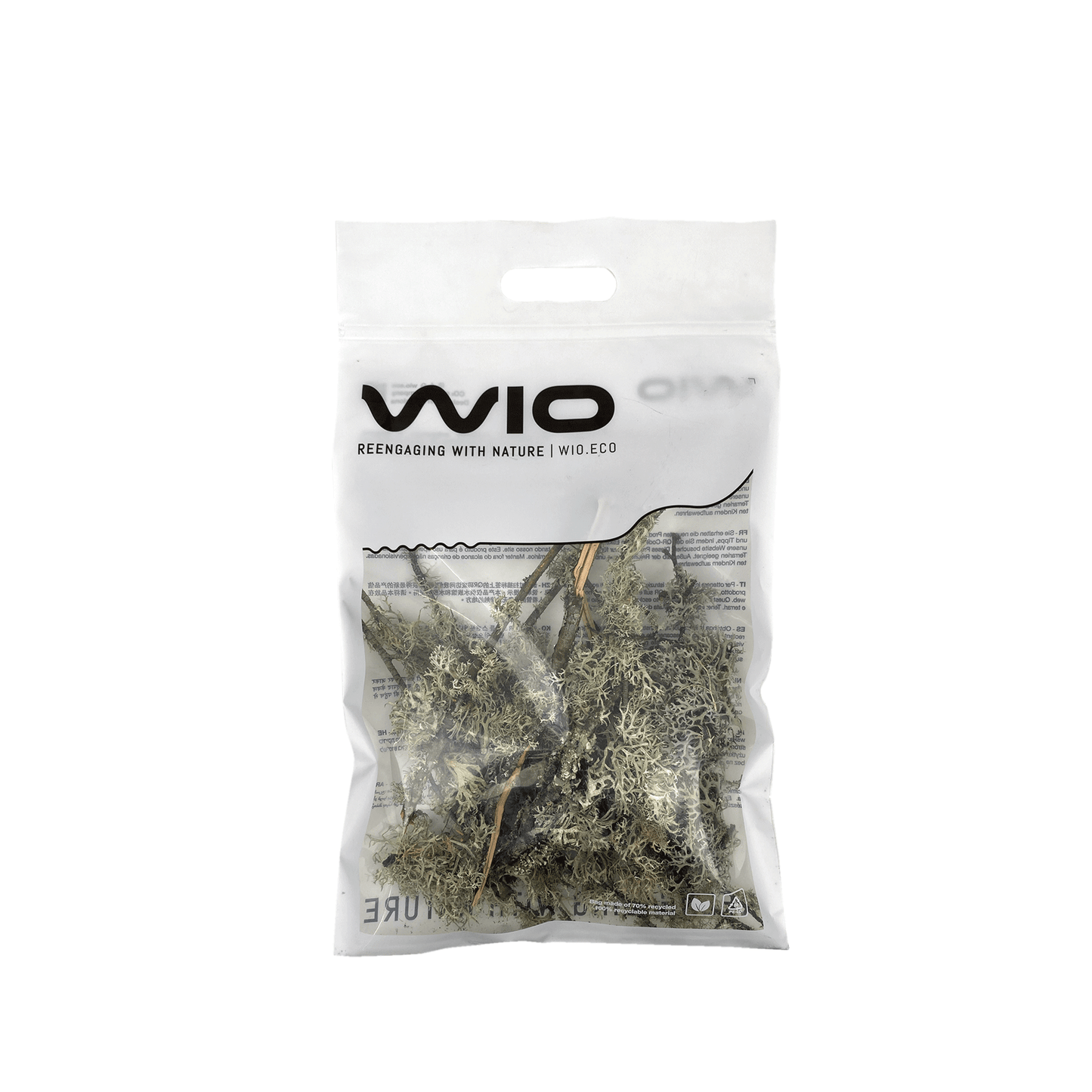 WIO | Lichen - Branches