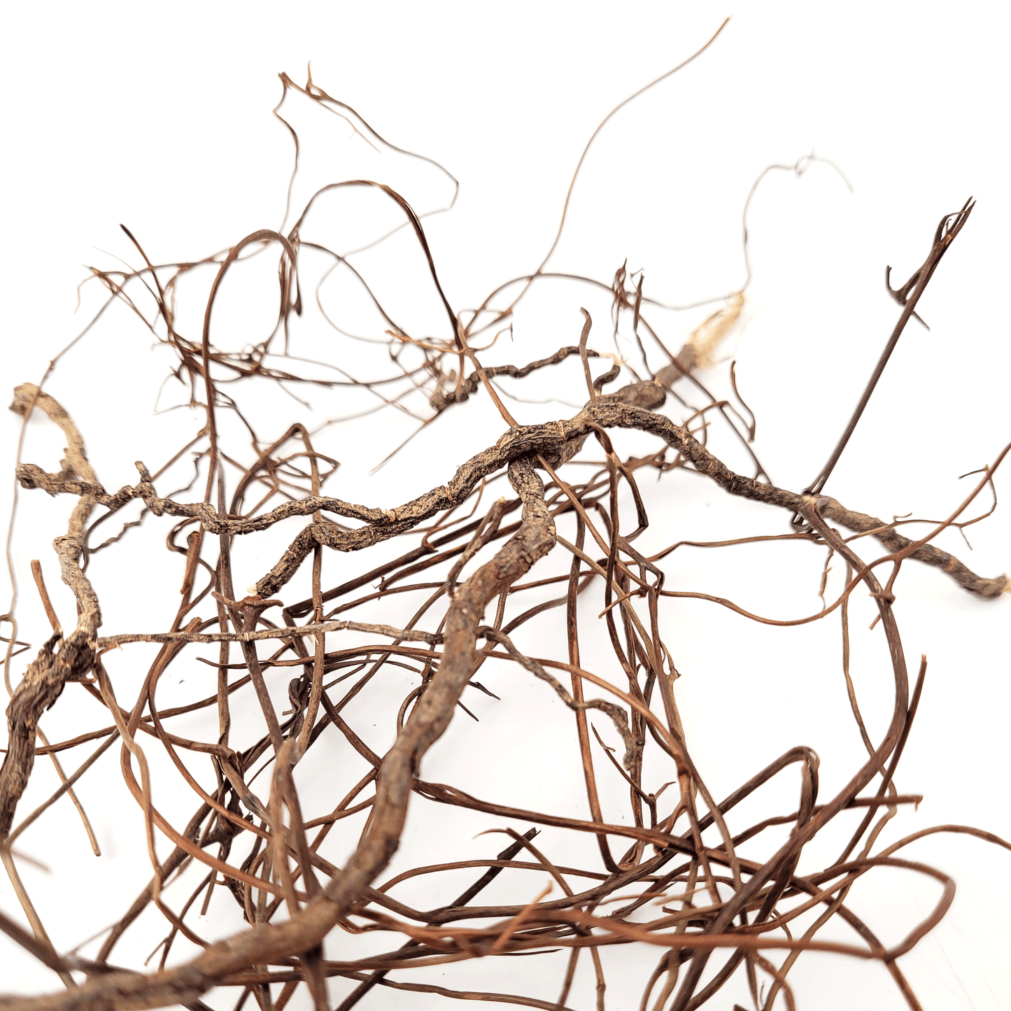 WIO | Root - Mini