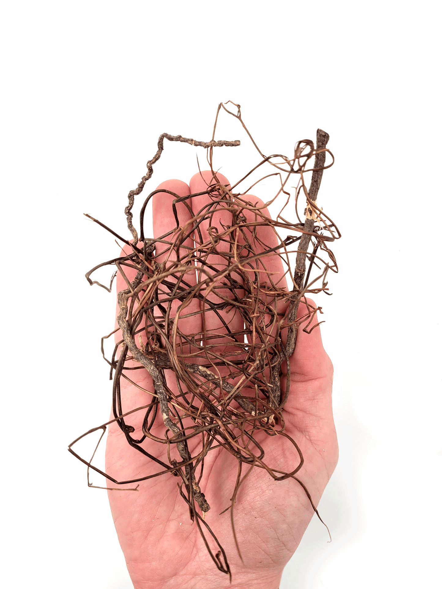 WIO | Root - Mini