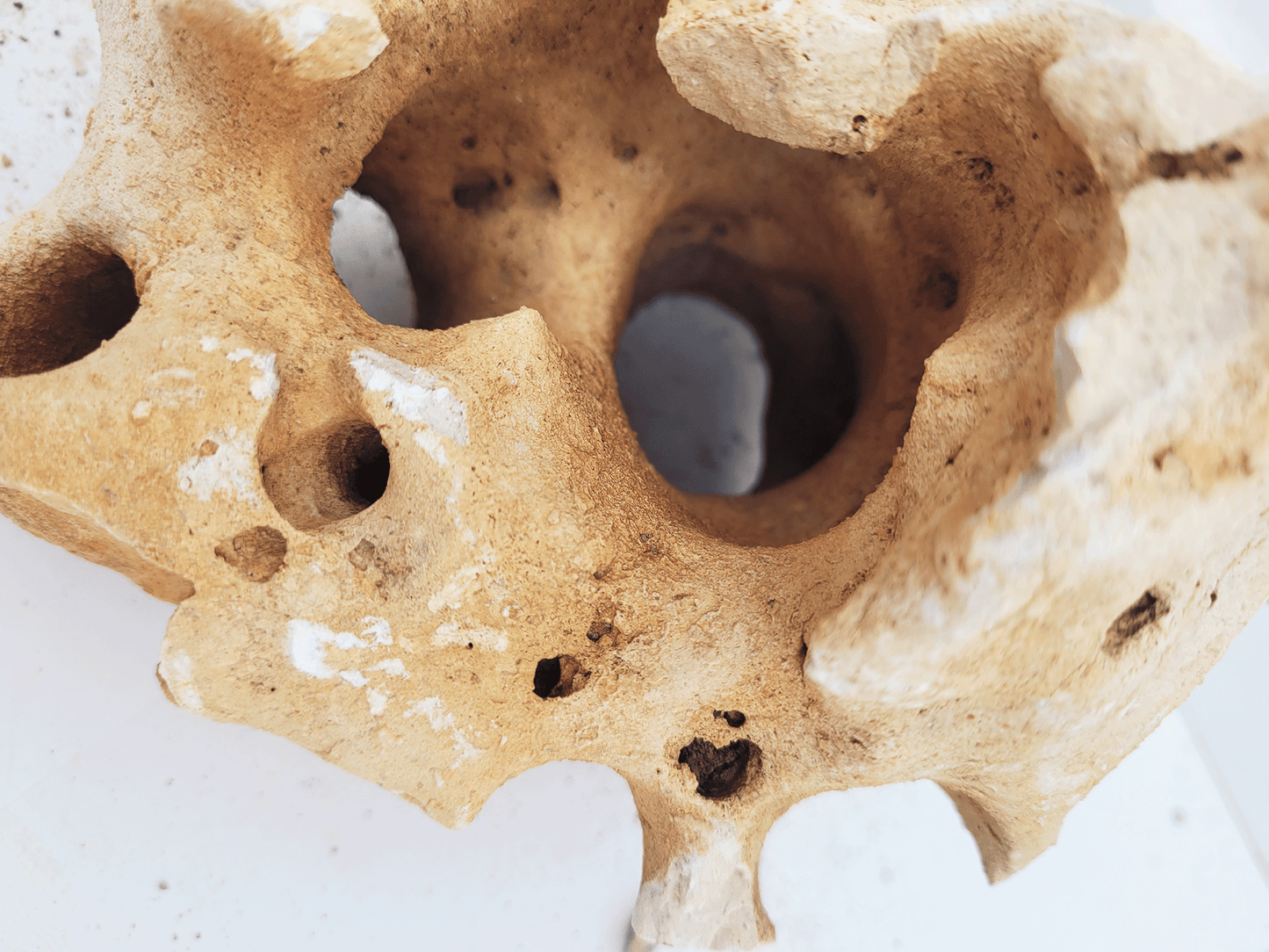 WIO | Stones - Hole Stone