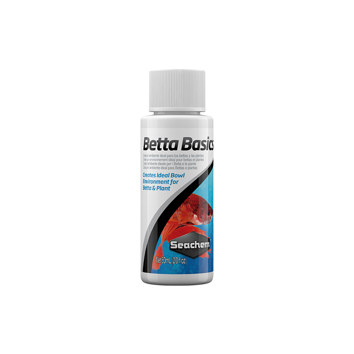 Betta Basics