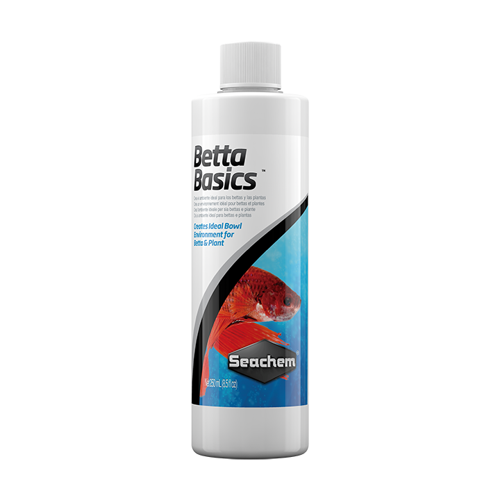 Betta Basics