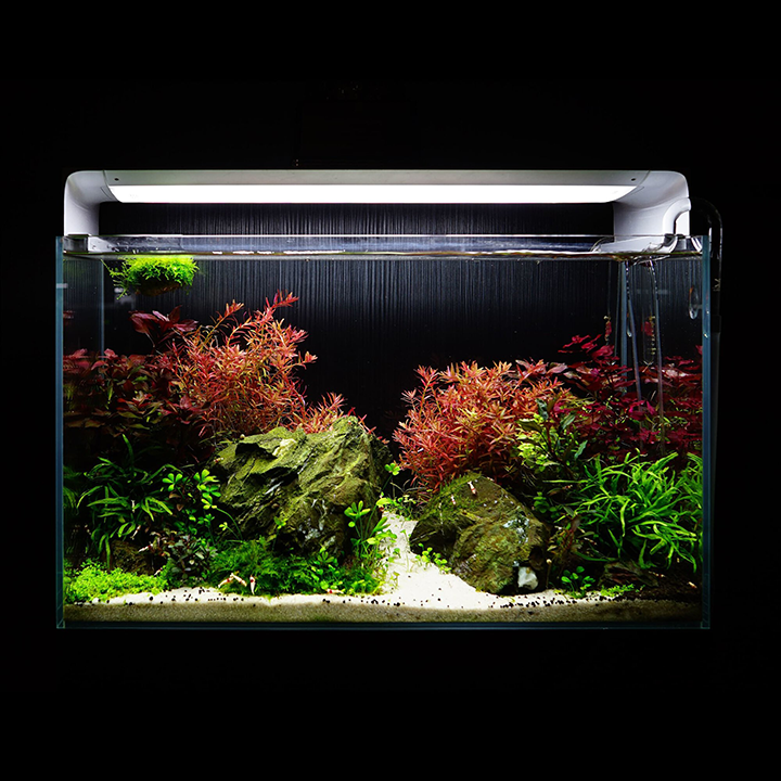 Flat One+ | The Smart Aquarium Lighting (60cm, Standard style)