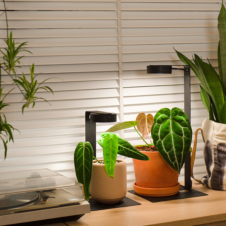 MIST O | LED Magnetic Plant Light