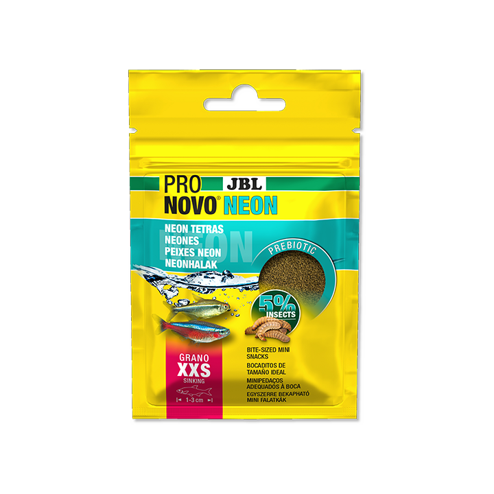 JBL PRONOVO NEON GRANO XXS