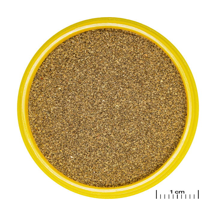 JBL PRONOVO NEON GRANO XXS