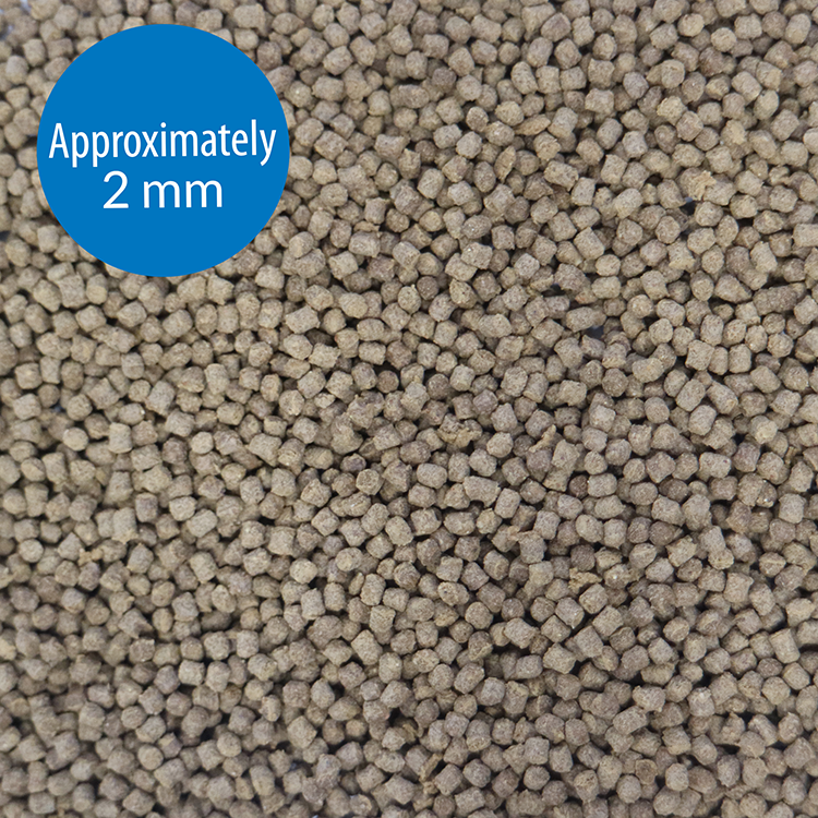 API TROPICAL PELLETS