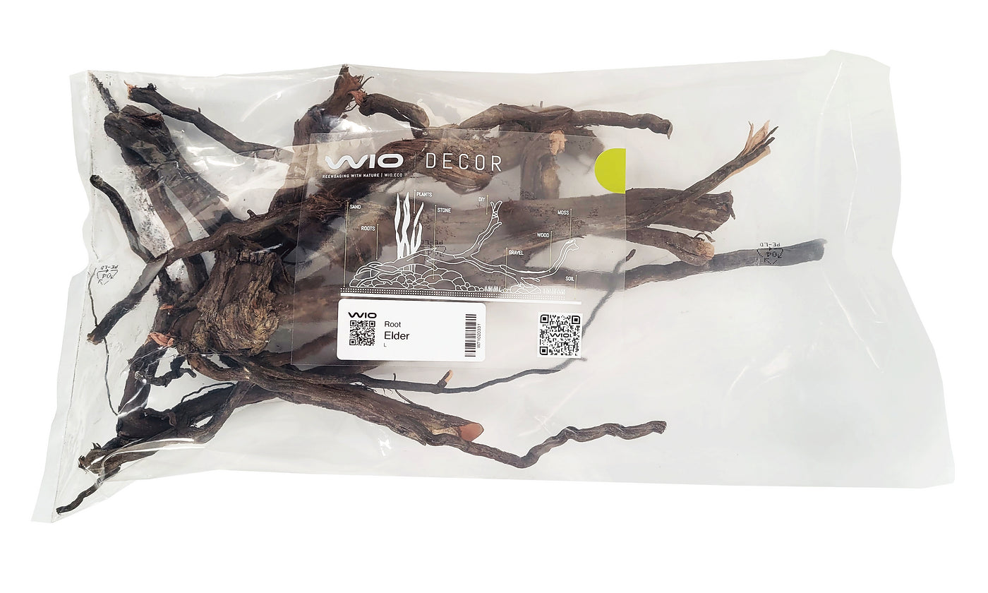 WIO | Root - Elder