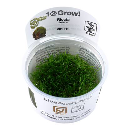 1-2-Grow! Riccia fluitans