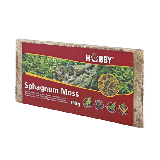 Sphagnum Moss