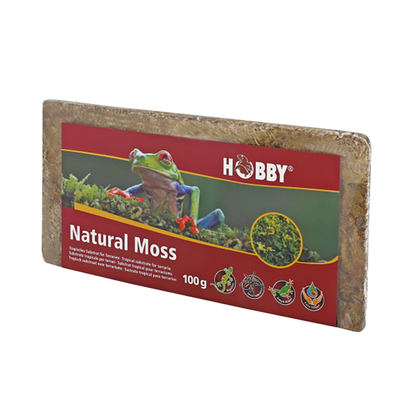 Natural Moss