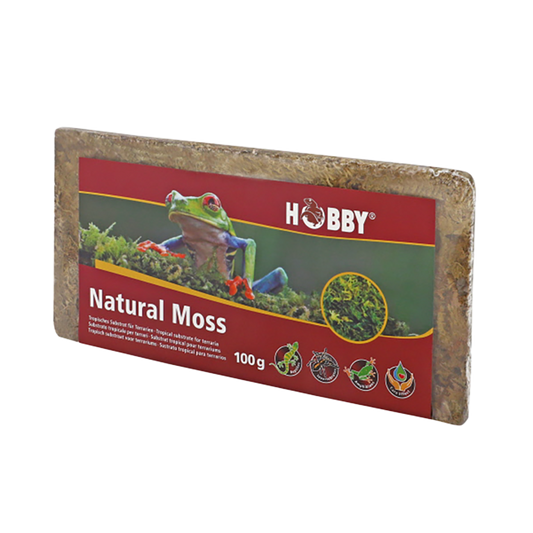 Natural Moss