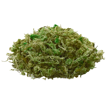 Natural Moss