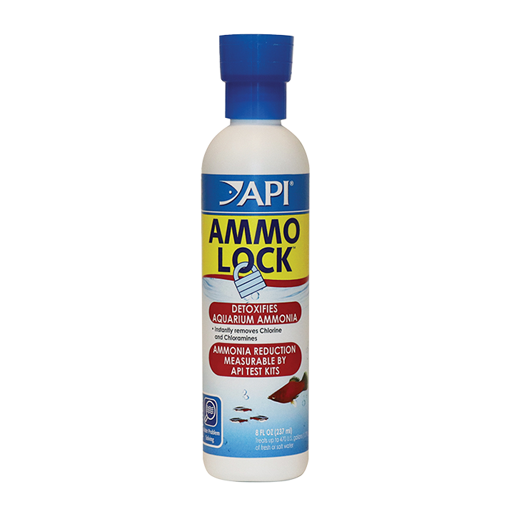 API Ammo-Lock