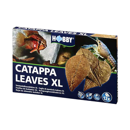 Catappa Leaves XL (12 pcs)