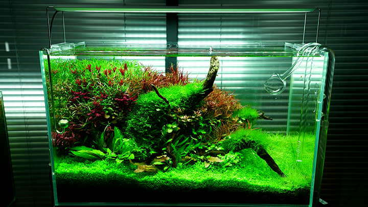 Chihiros AII Max LED Light