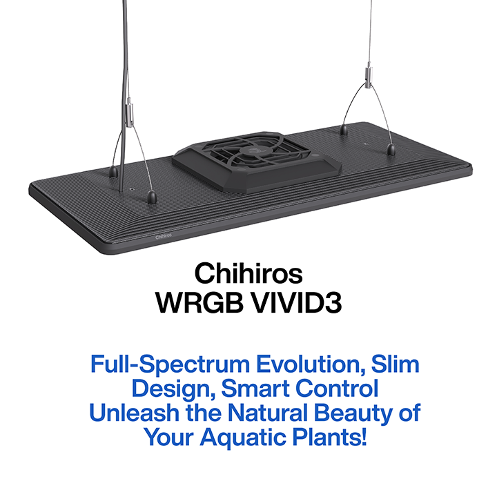 Chihiros WRGB VIVID 3 - Black