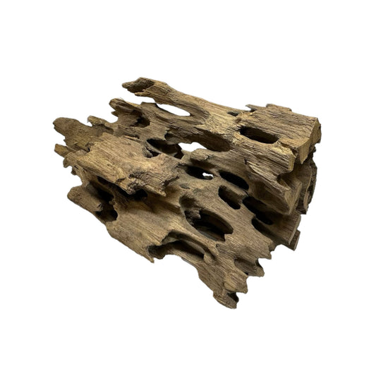 Dragon or Honeycomb Wood