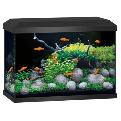 Primo 70 LED 2.0 - aquarium ONLY