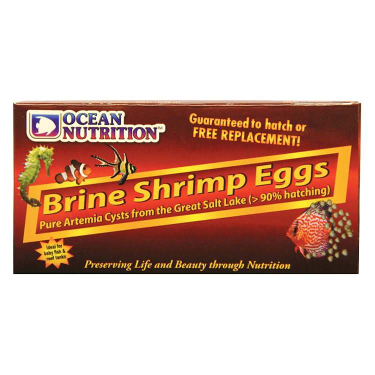 Brine Shrimp Eggs 20 g