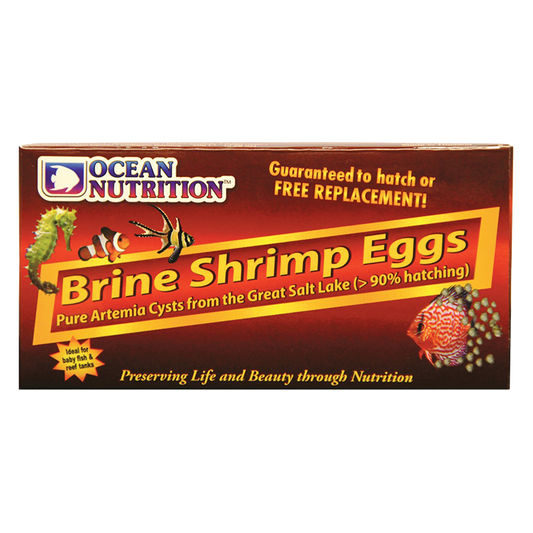 Brine Shrimp Eggs 20 g