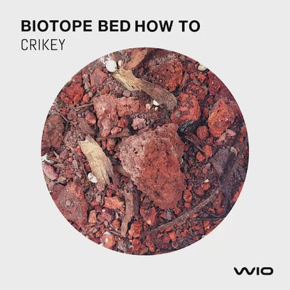 WIO | RiverBed - Crikey