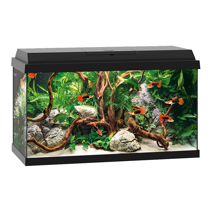 Primo 60 LED - aquarium ONLY (Black)