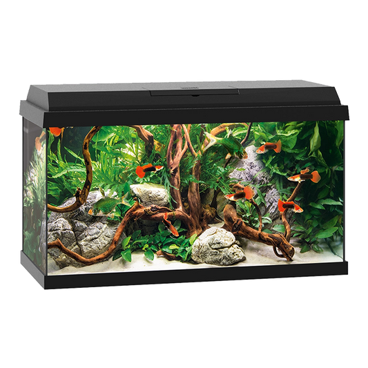 Primo 60 LED - aquarium ONLY (Black)