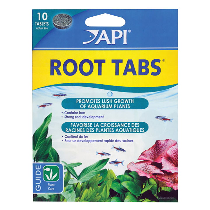 API ROOT TABS