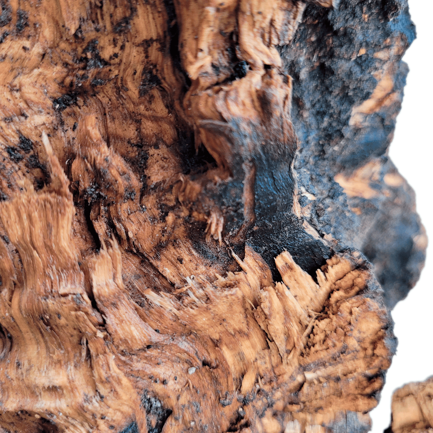 WIO | Wood - Stone