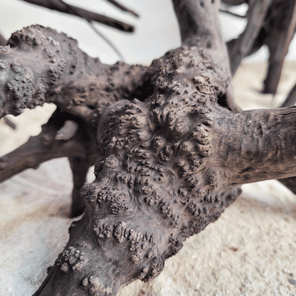 WIO | Wood - Black Tree Trunk