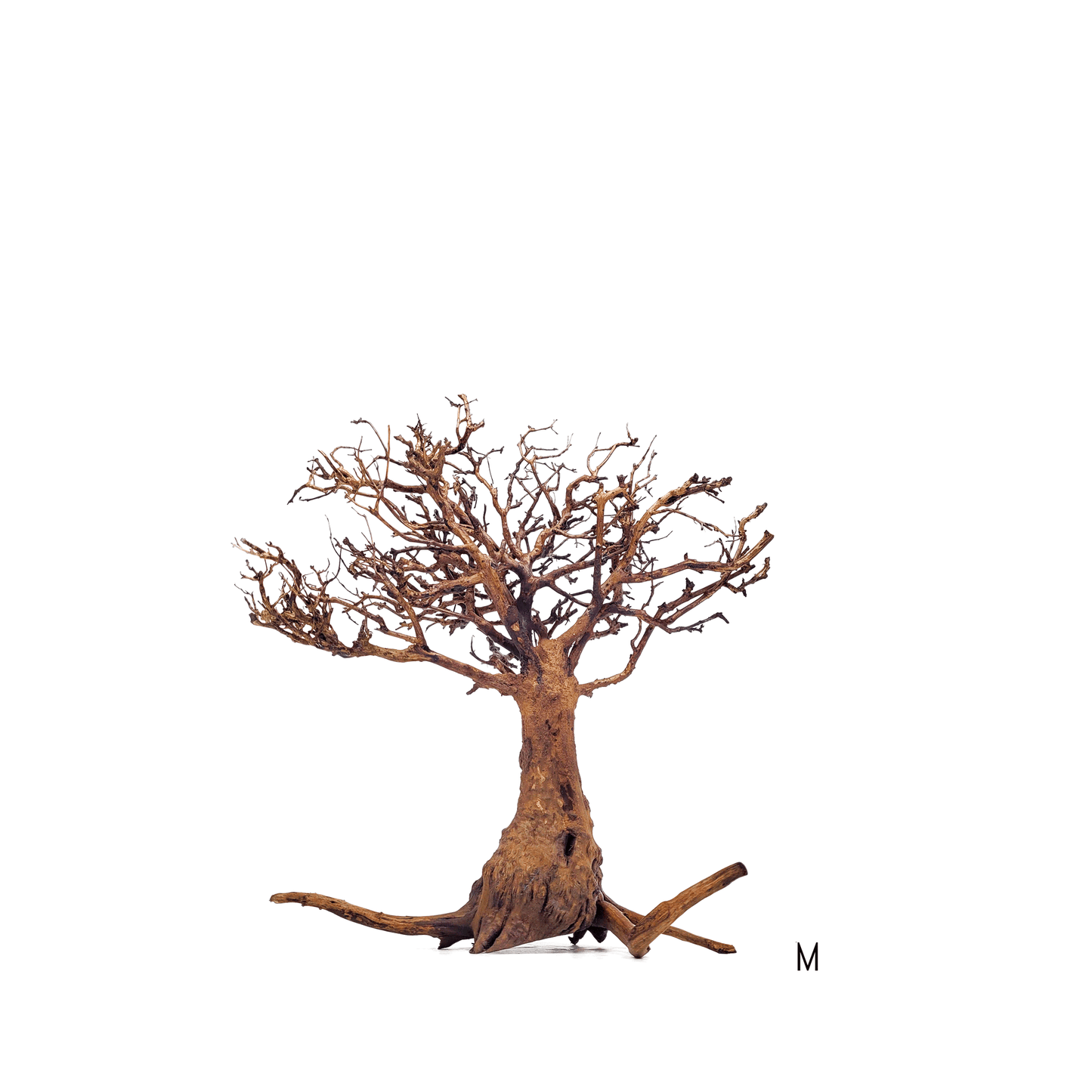 WIO | Arboretum - Tree