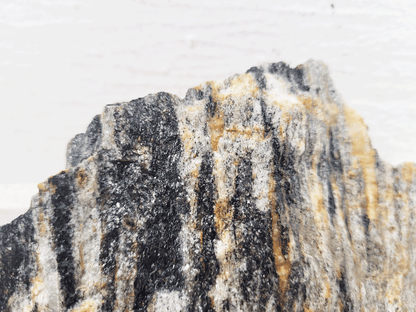 WIO | Stones - Grey Fossil Wood Stone
