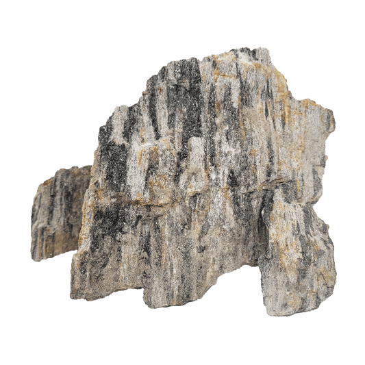 WIO | Stones - Grey Fossil Wood Stone