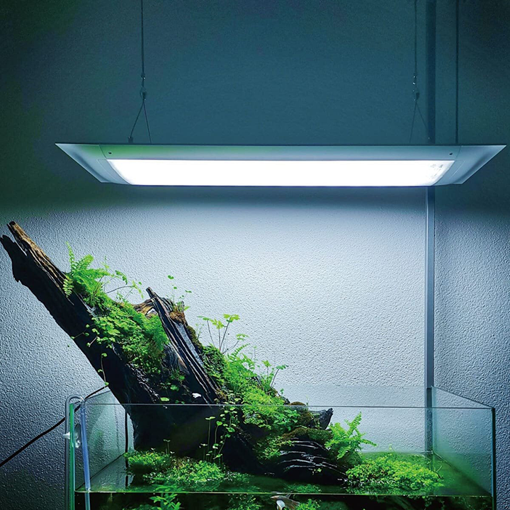 Flat One+ | The Smart Aquarium Lighting (60cm, Pendant style)