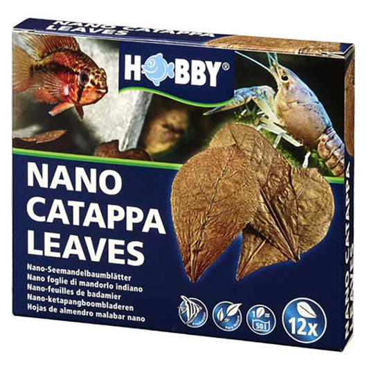 Nano Catappa Leaves (12 pcs)