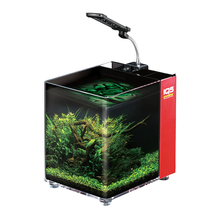 DYMAX IQ5 ACRYLIC AQUARIUM