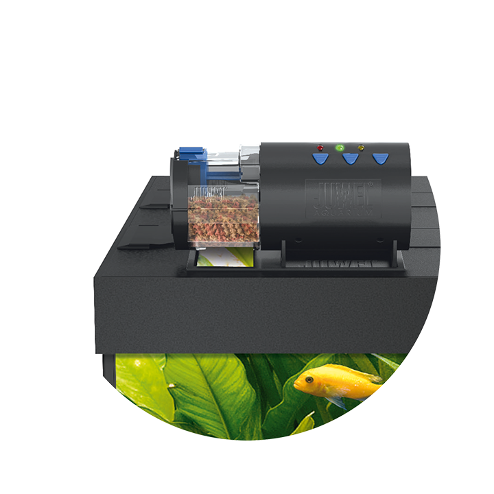 EasyFeed - automatic feeder